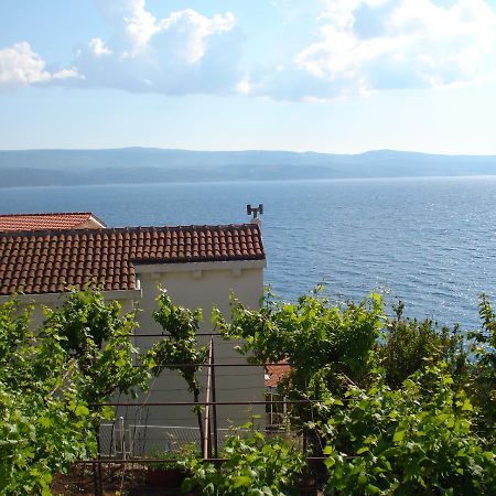 Apartmani Stanic Rosa Stanici Exterior photo